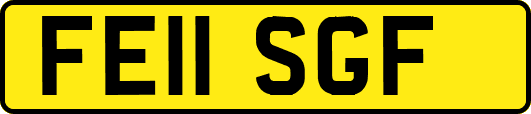FE11SGF