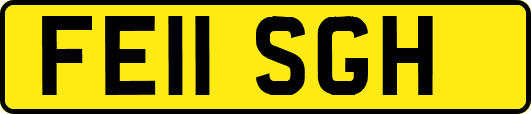 FE11SGH