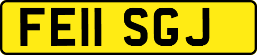FE11SGJ