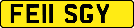 FE11SGY