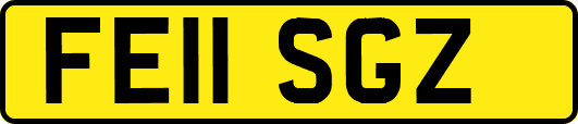 FE11SGZ