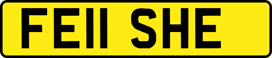 FE11SHE