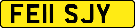 FE11SJY