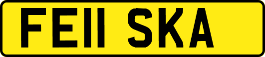 FE11SKA