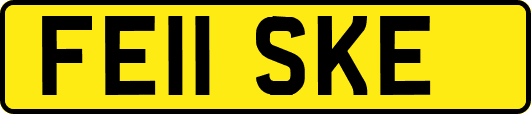 FE11SKE