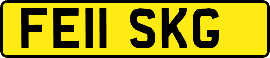 FE11SKG