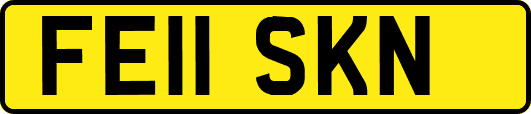 FE11SKN