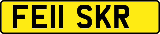 FE11SKR