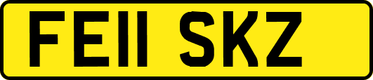 FE11SKZ