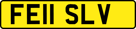 FE11SLV