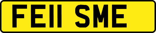 FE11SME