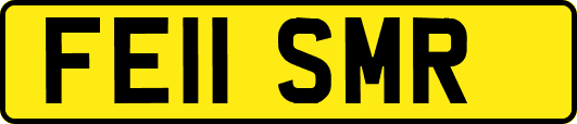 FE11SMR