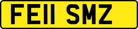 FE11SMZ
