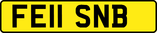 FE11SNB