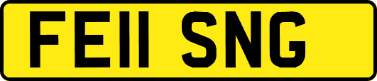 FE11SNG