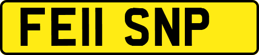 FE11SNP