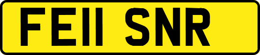 FE11SNR