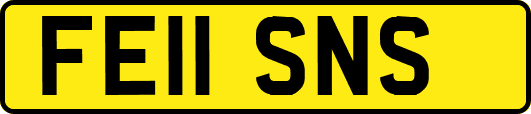 FE11SNS