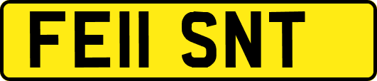 FE11SNT