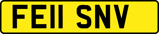 FE11SNV