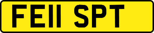 FE11SPT