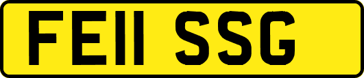 FE11SSG