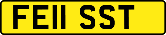 FE11SST