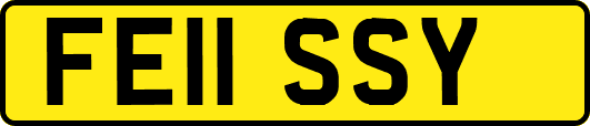 FE11SSY