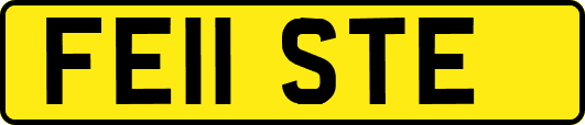 FE11STE