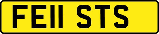 FE11STS