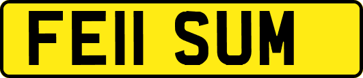 FE11SUM
