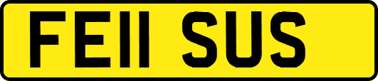FE11SUS