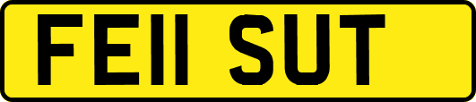 FE11SUT