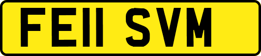 FE11SVM