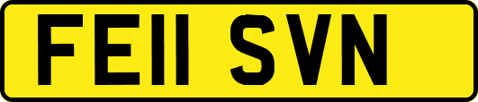 FE11SVN