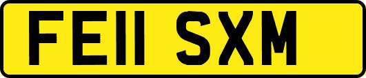 FE11SXM