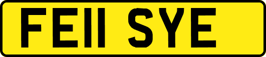 FE11SYE