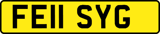 FE11SYG