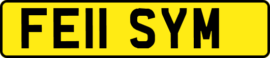 FE11SYM