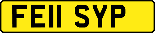 FE11SYP