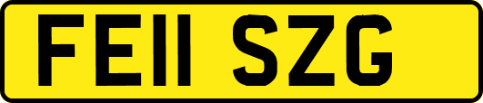 FE11SZG