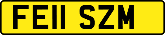FE11SZM