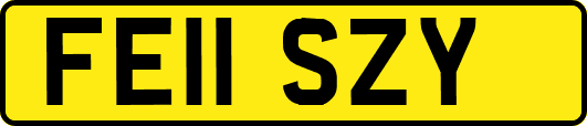 FE11SZY