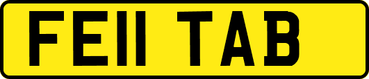 FE11TAB
