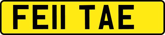 FE11TAE