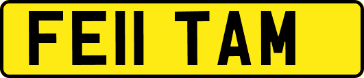 FE11TAM