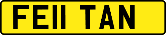 FE11TAN