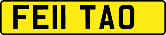 FE11TAO