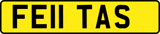 FE11TAS