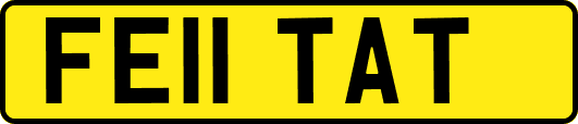 FE11TAT